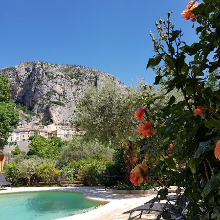 Bed and Breakfast Bastide Des Oliviers Moustiers-Sainte-Marie Zewnętrze zdjęcie