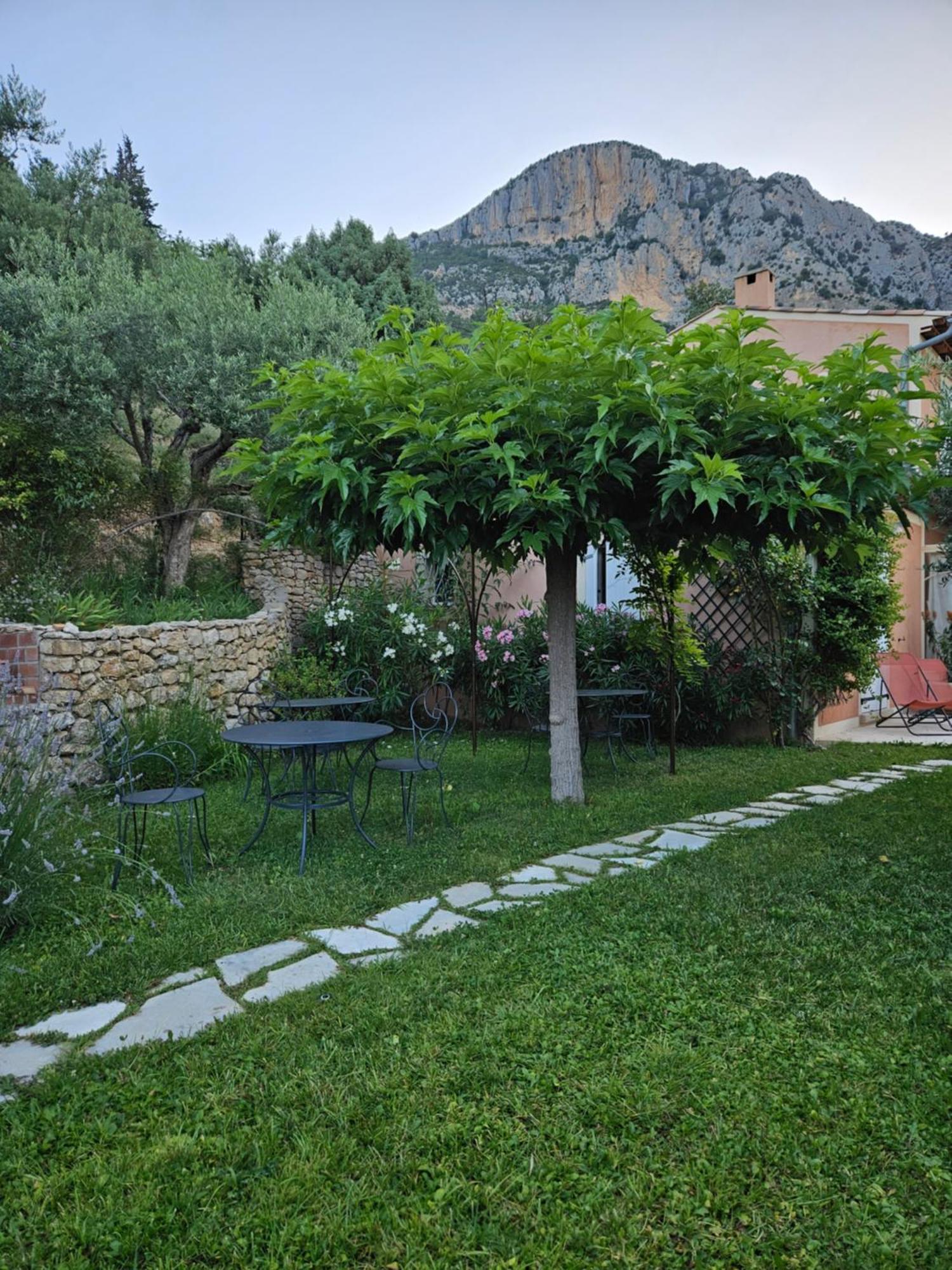 Bed and Breakfast Bastide Des Oliviers Moustiers-Sainte-Marie Zewnętrze zdjęcie